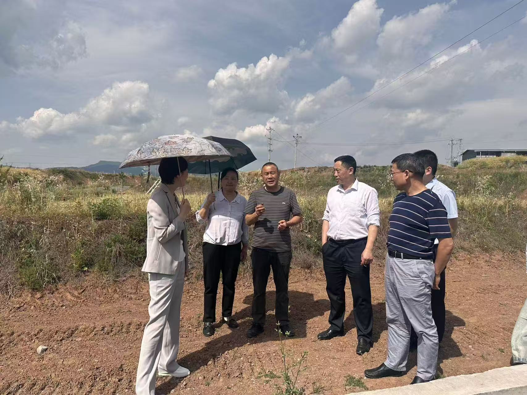 廣安市供銷(xiāo)社來(lái)巴調(diào)研農(nóng)業(yè)社會(huì)化服務(wù)工作